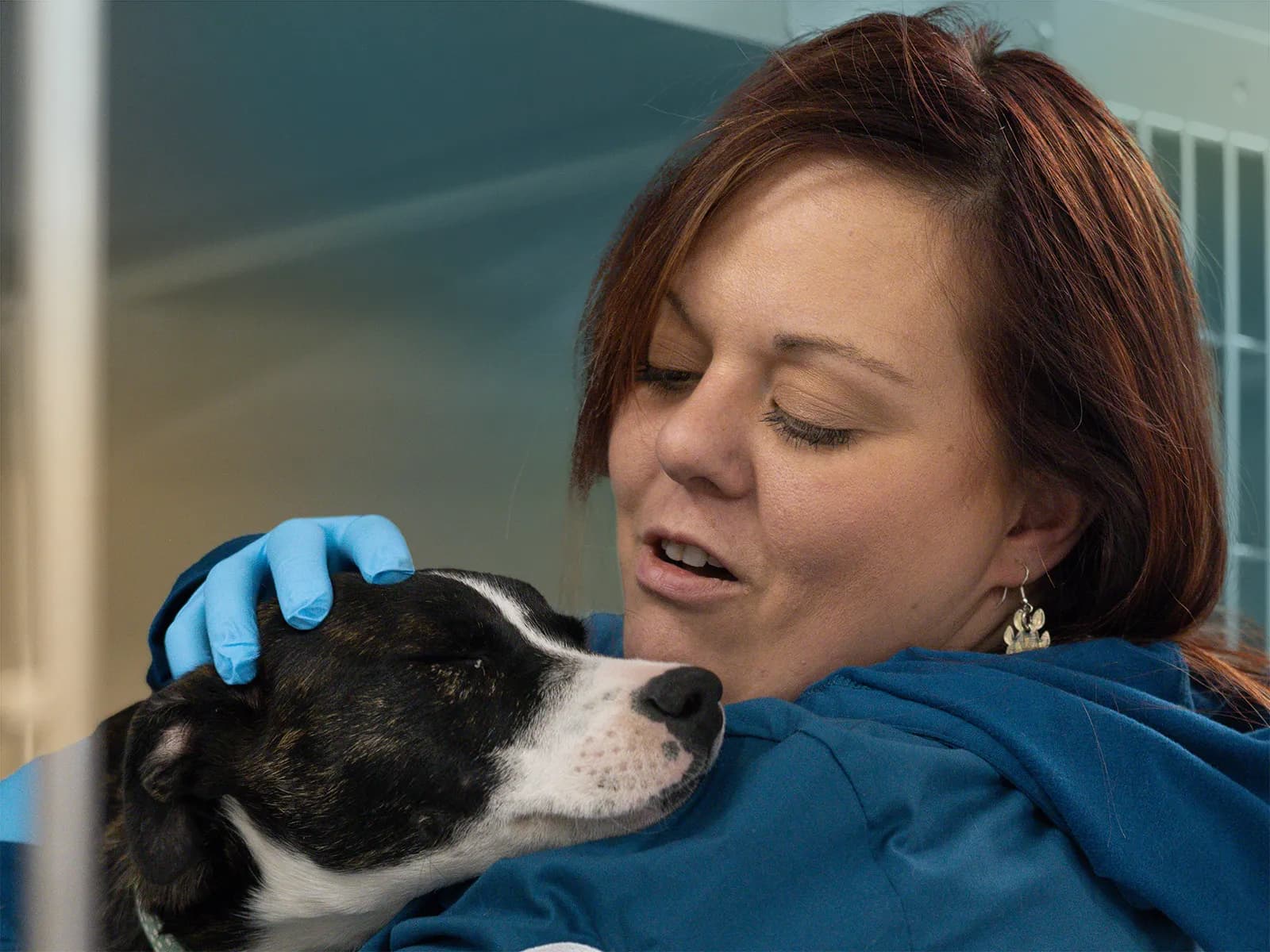 Veterinary technician providing patient care in a clinical hospital environment.
